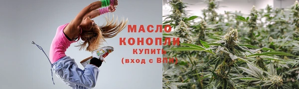 твердый Инта