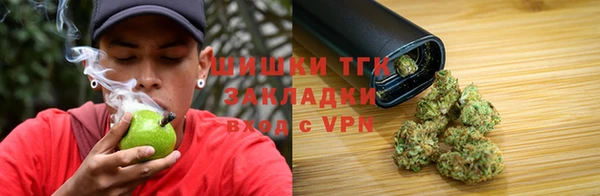 твердый Инта