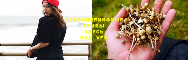 Альфа ПВП Иннополис