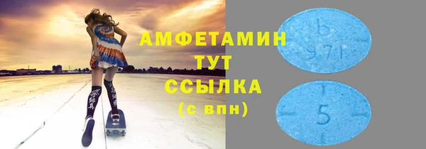 твердый Инта