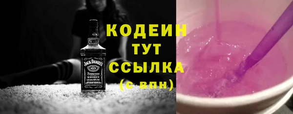 твердый Инта