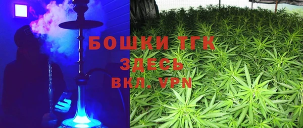 твердый Инта