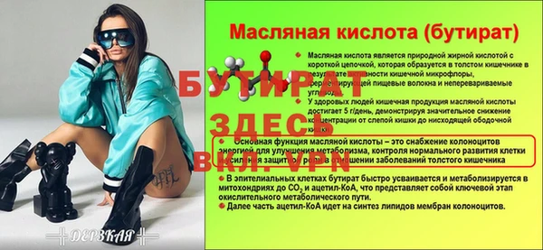 твердый Инта
