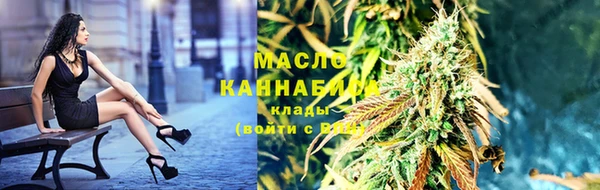 твердый Инта
