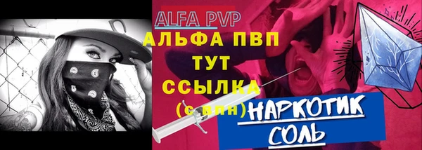 твердый Инта