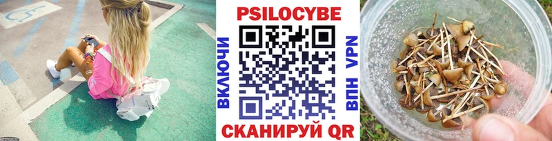 Купить закладки  Гаврилов-Ям  Псилоцибиновые грибы мухоморы 